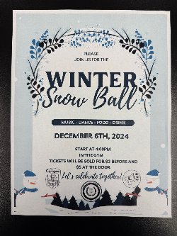 Winter Snow Ball Flyer